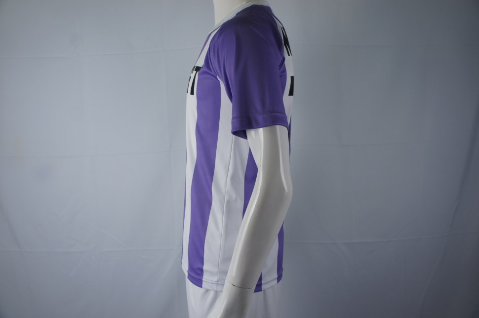 クラスTシャツ 白地に紫のストライプ模様の丸首 半袖 ラグラン