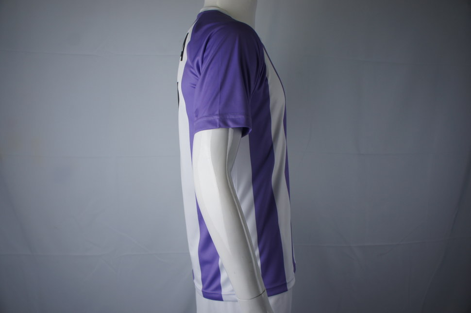 クラスTシャツ 白地に紫のストライプ模様の丸首 半袖 ラグラン