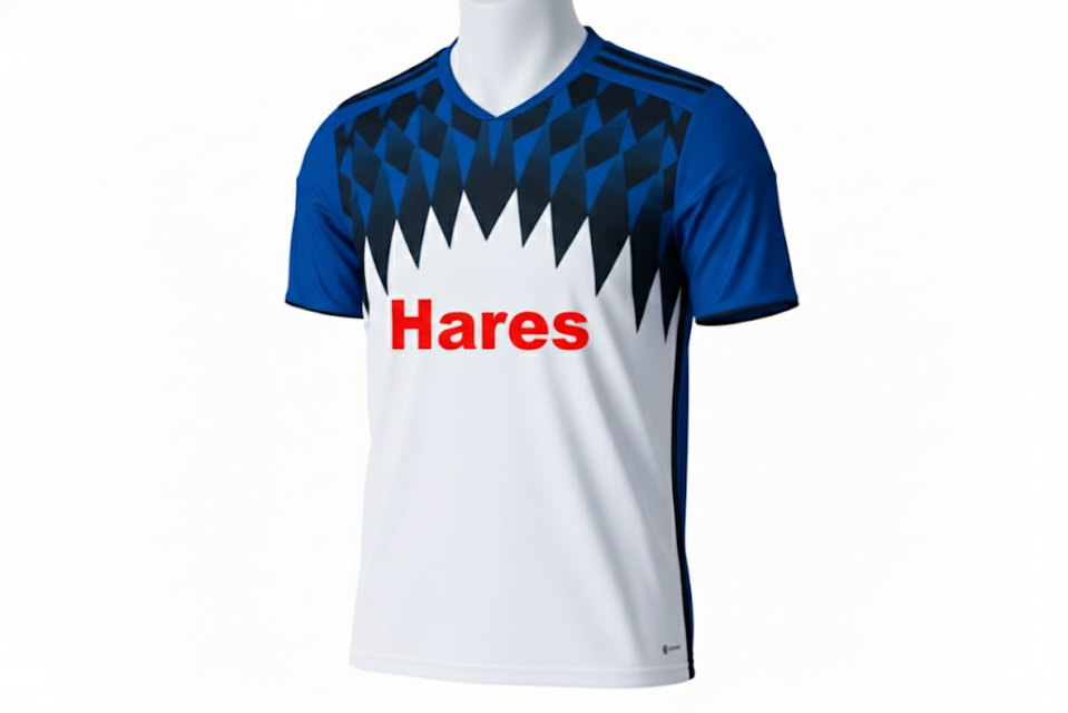 大学サークルで作成したサッカーユニフォームの着用イメージ。ハンブルガーSV風の幾何学模様がスタイリッシュなクラスTシャツ。吸汗速乾素材の本格スポーツ仕様、全面昇華プリント。