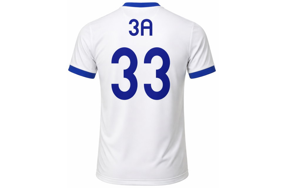 クラスTシャツ 背面レイアウト サッカー代表モデル 4桁対応の背番号カスタマイズ 体育祭・文化祭向け本格スポーツウェア